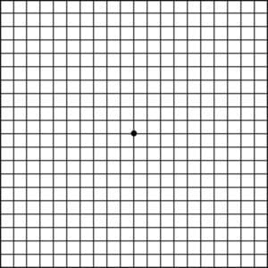 Amsler Chart to Test Your Sight  American Macular Degeneration Foundation