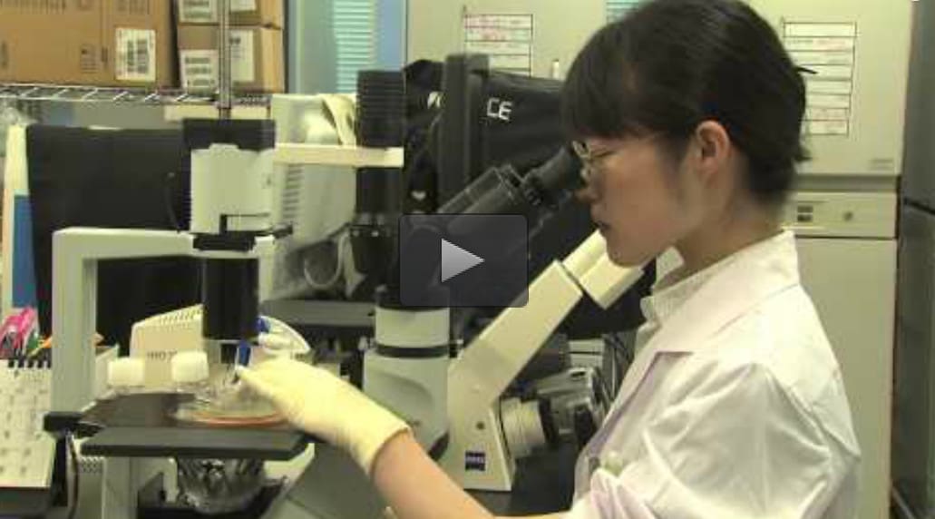 stem-cell-video