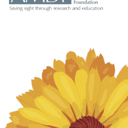 Macular Degeneration Pamphlet Cover